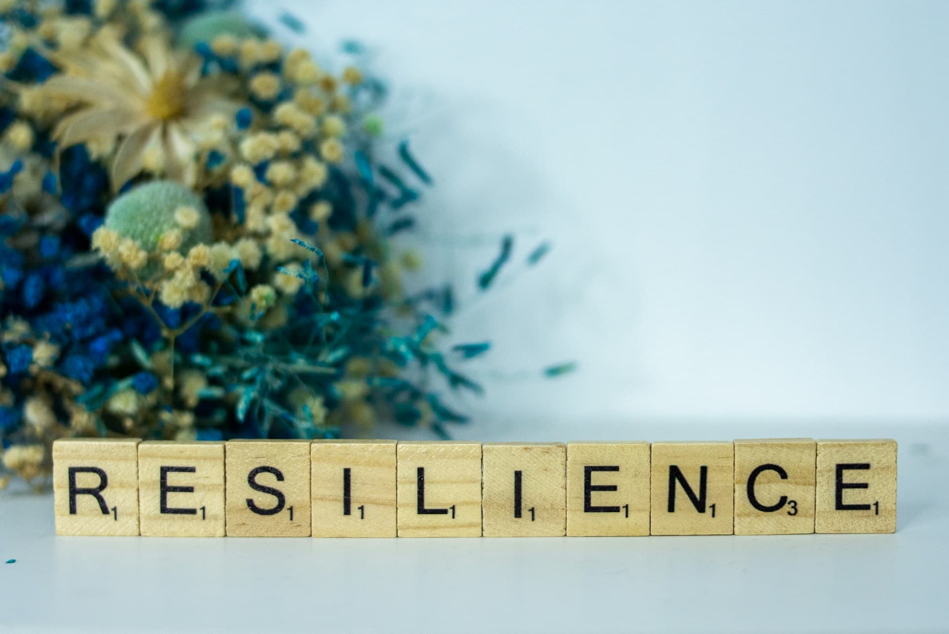 Os 4 Padrões de Resiliência que você precisa conhecer!